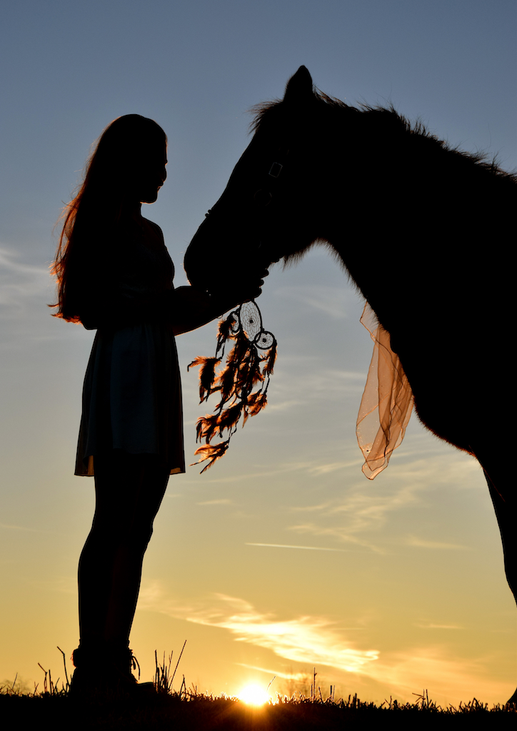 girl+horse silhouette